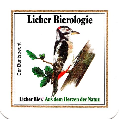 lich gi-he licher biero vgel rd 2b (quad185-der dompfaff) 